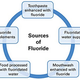 Illustration for article titled Fluoride your protection shield against tooth attacks